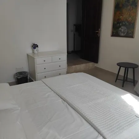 Guest house Affittacamere Le Palmette *